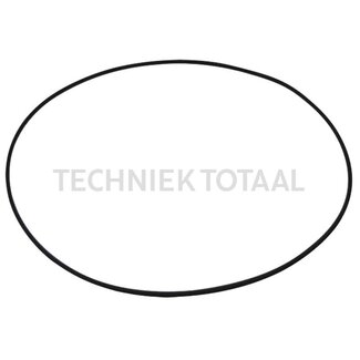 ZF O-Ring
