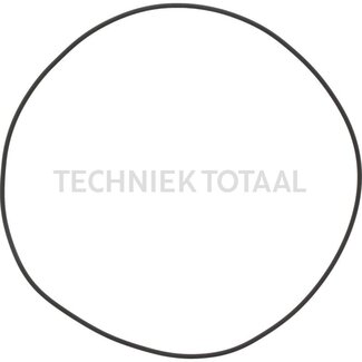 ZF O-Ring