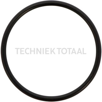 ZF O-Ring