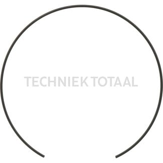 Carraro Sprengring 188,7 x 3,5 mm Radnabe Carraro Vorderachse 145102