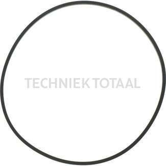 Carraro QUAD-RING 169.2X3.5