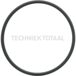 Carraro O-RING 3193 2-139