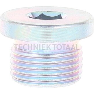 Carraro HEX SOCKET SCREW PLUG DIN
