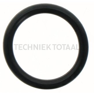 Carraro O-ring Ø 17,13 mm Carraro vooras 145302