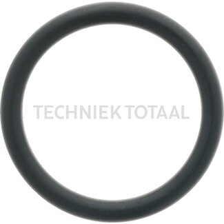 Carraro O-ring Ø 26,57 x 3,53 mm Carraro vooras 643080