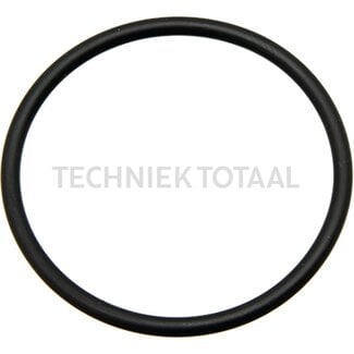 O-Ring Getriebegehäuse Carraro Vorderachse 145007