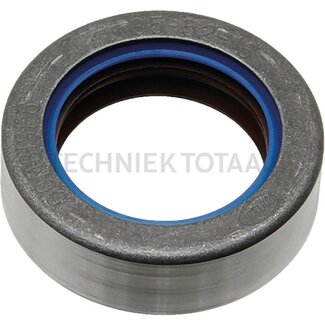 Carraro Dichtring