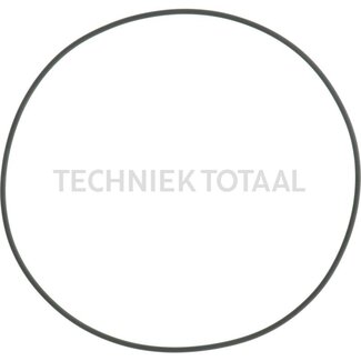 Carraro O-ring remmen 202,79 x 3,53 mm Viton Carraro vooras 145242
