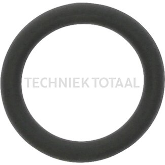 Carraro O-ring 2037 9.25x1.78 VITON 75 SHORE A