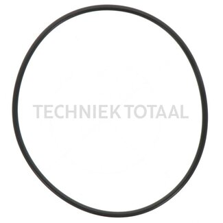 Carraro O-ring Ø 113,89 x 3,53 mm Carraro vooras 145493