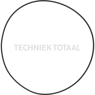Carraro O-RING 2-48 2475