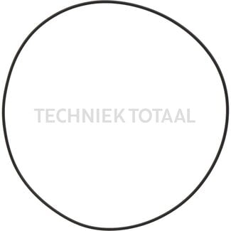 Carraro O-Ring Arm unten Carraro Vorderachse 642490