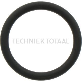 Carraro O-ring 4100 24.99x3.53