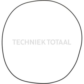 Carraro O-ring 329,8 x 3,53 mm Carraro vooras 145006