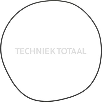 Carraro O-RING 41100 2-276