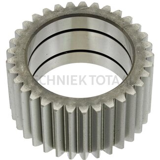 ZF Planetenrad