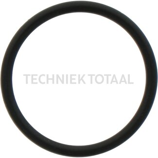 ZF O-ring binnen-Ø 21 mm, buiten-Ø 25 mm, dikte 2 mm ZF vooras