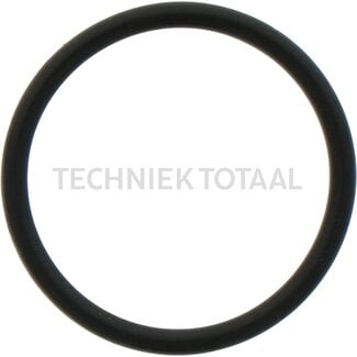ZF O-Ring