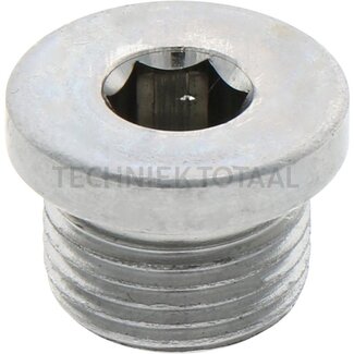 ZF O-Ring, Verschlussschraube