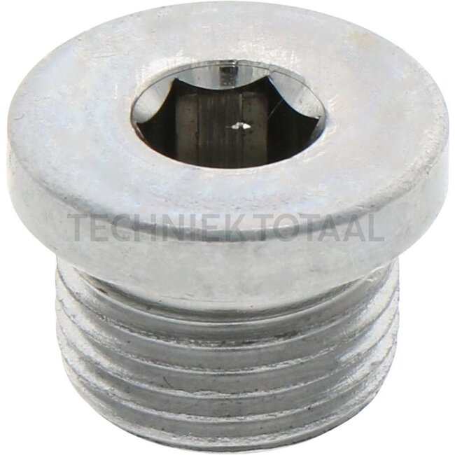 ZF O-ring, screw plug - 5450636302014, 0636.302.014