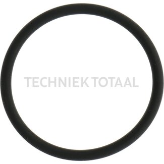 ZF O-ring