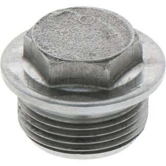 ZF O-ring, screw plug