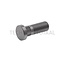 ZF Wielbout - 5450736617031, 0736.617.031