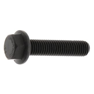 ZF Locking screw