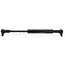 GRANIT Gasdruckdämpfer - 6549710168, 444416318, 7099TM | Newton: 410 | A: 295 mm | B: 209 mm | C: 8 mm | D: 8 mm | Hub: 86 mm | d1: 10 mm | d2: 22 mm | Form: 6