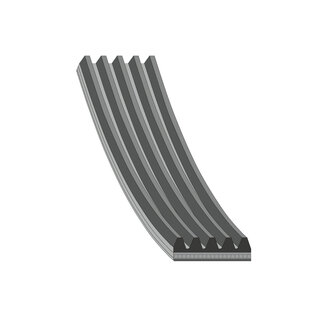 FEBI Multiriem lengte 1237 mm, 5 ribben