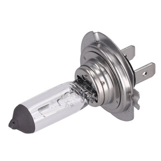 FEBI Glühlampe 12 V, 55 W