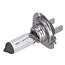 FEBI Bulb 12 V, 55 W