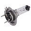 FEBI Glühlampe 12 V, 55 W