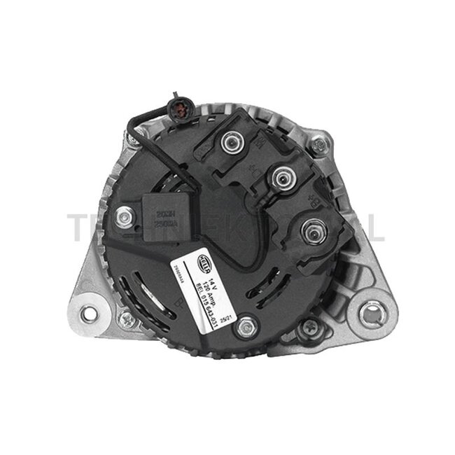 HELLA Generator 14 V, 120 A, Riemenscheibe Ø 61 mm, 8 Nuten | 8EL 015 643-031, 84141452, 87652087