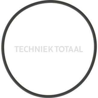 GRANIT O-Ring Kolben Bremse McCormick, IHC