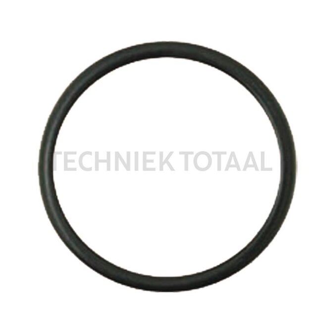 GRANIT O-Ring Kolben Bremse McCormick, IHC | 3230855R1