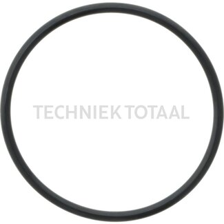 GRANIT O-Ring Kolben Bremse McCormick, IHC