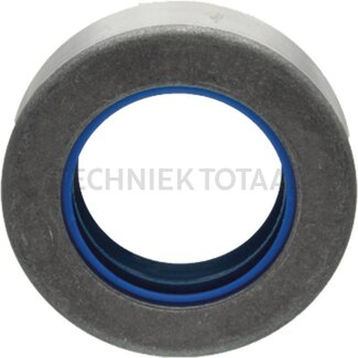 DANA Spicer Dichtring Endgetriebe Vorderachse 755, 40 x 65 x 18 mm