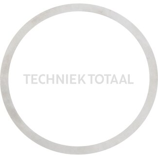 DANA Spicer Pass - Scheibe Differential Vorderachse 730, 20 g