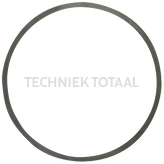 DANA Spicer Pass - Scheibe Differential Vorderachse 755, 10 g