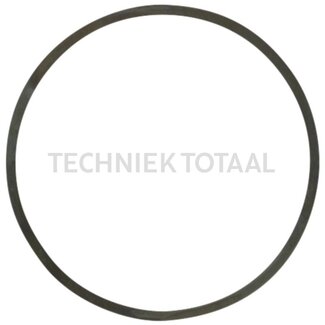 DANA Spicer Pass - Scheibe Differential Vorderachse 755, 28 g