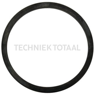 DANA Spicer Keerring eindaandrijving vooras 709, 30 g