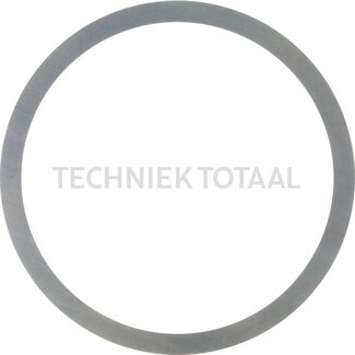 DANA Spicer Pass - Scheibe Differential Vorderachse 745/110, 18 g