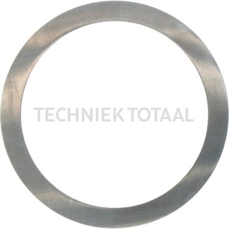 DANA Spicer Pass - Scheibe Differential Vorderachse 745/110, 1 g