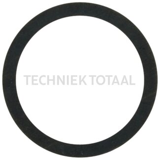 DANA Spicer Pass - Scheibe Differential Vorderachse 745/110, 4 g