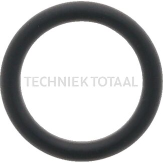 DANA Spicer O-Ring Differential Vorderachse 710, 1 g