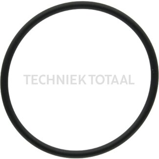 DANA Spicer O-Ring Differential Vorderachse 710, 2 g