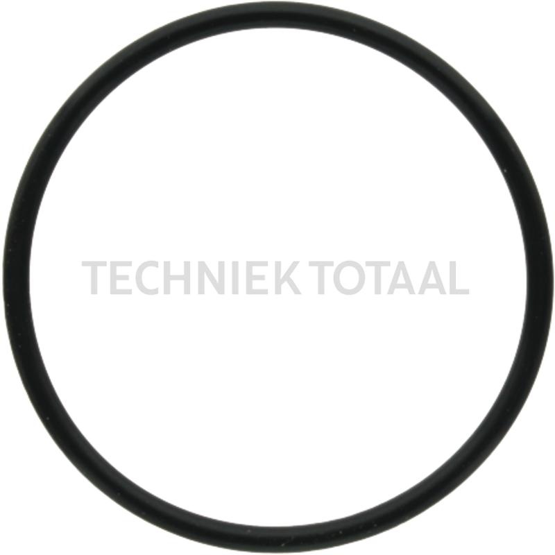 DANA Spicer Anti-extrusie ring eindaandrijving vooras 715 | 000.3019943X1