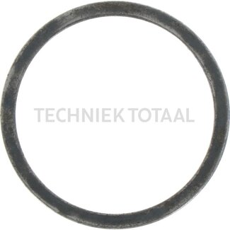 DANA Spicer Pass - Scheibe Differential Vorderachse 710/516, 6 g