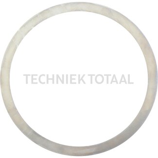 DANA Spicer Pass - Scheibe Differential Vorderachse 720/528, 8 g